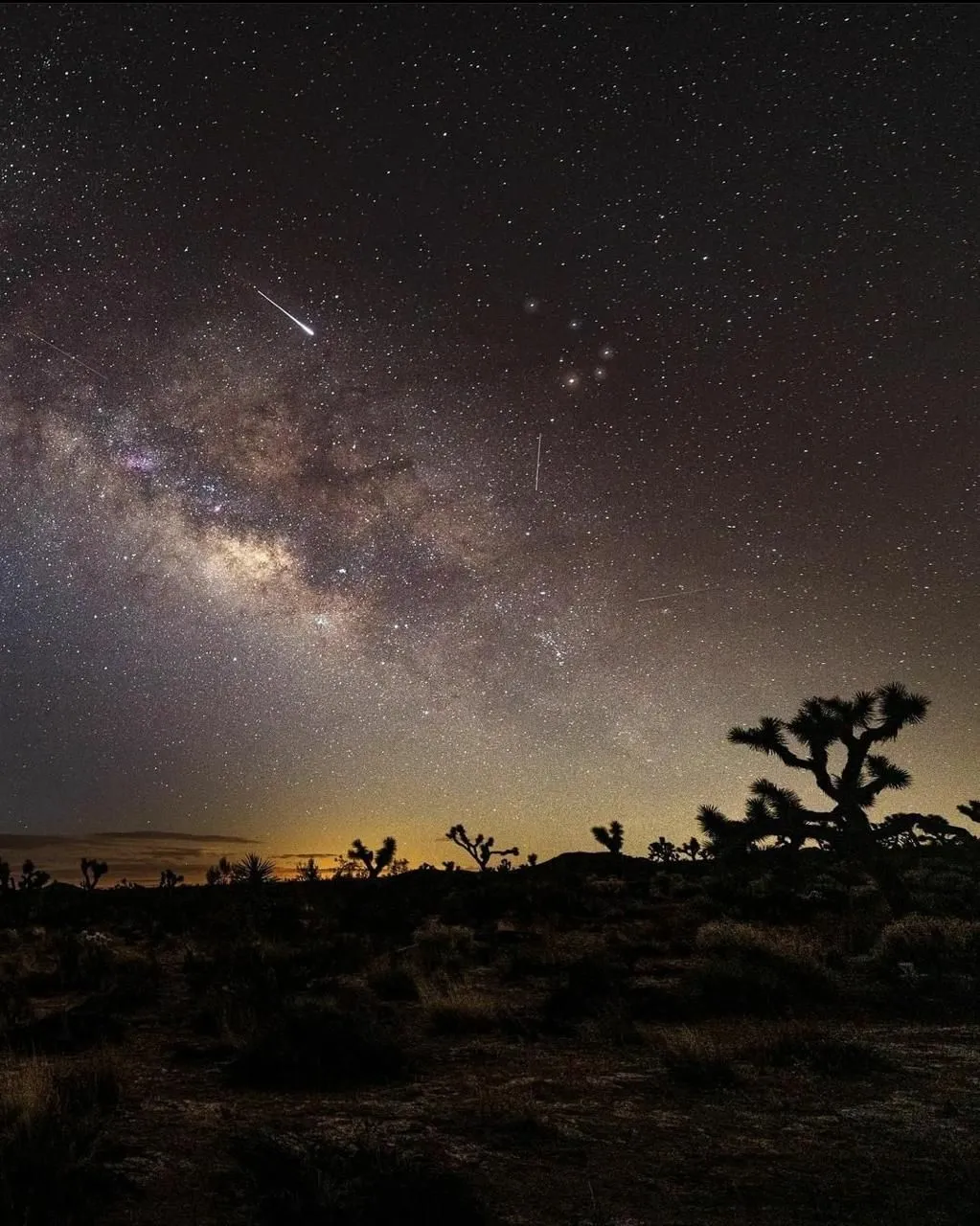 The Milky Way and a shooting star over a desert of Joshua tree silhouettes, with a warm glow on the horizon